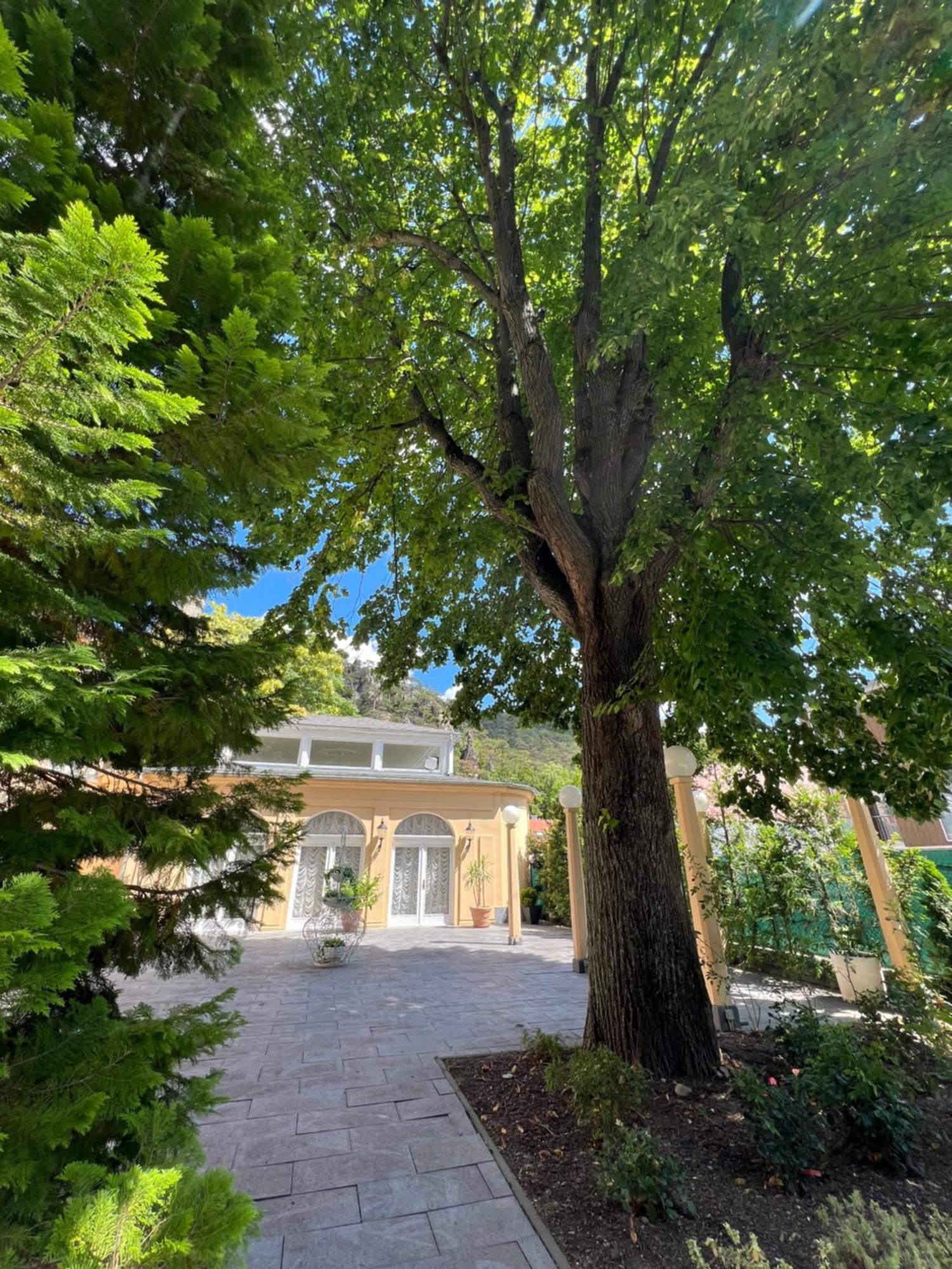 Wienerwald Residenz Μπάντεν Εξωτερικό φωτογραφία